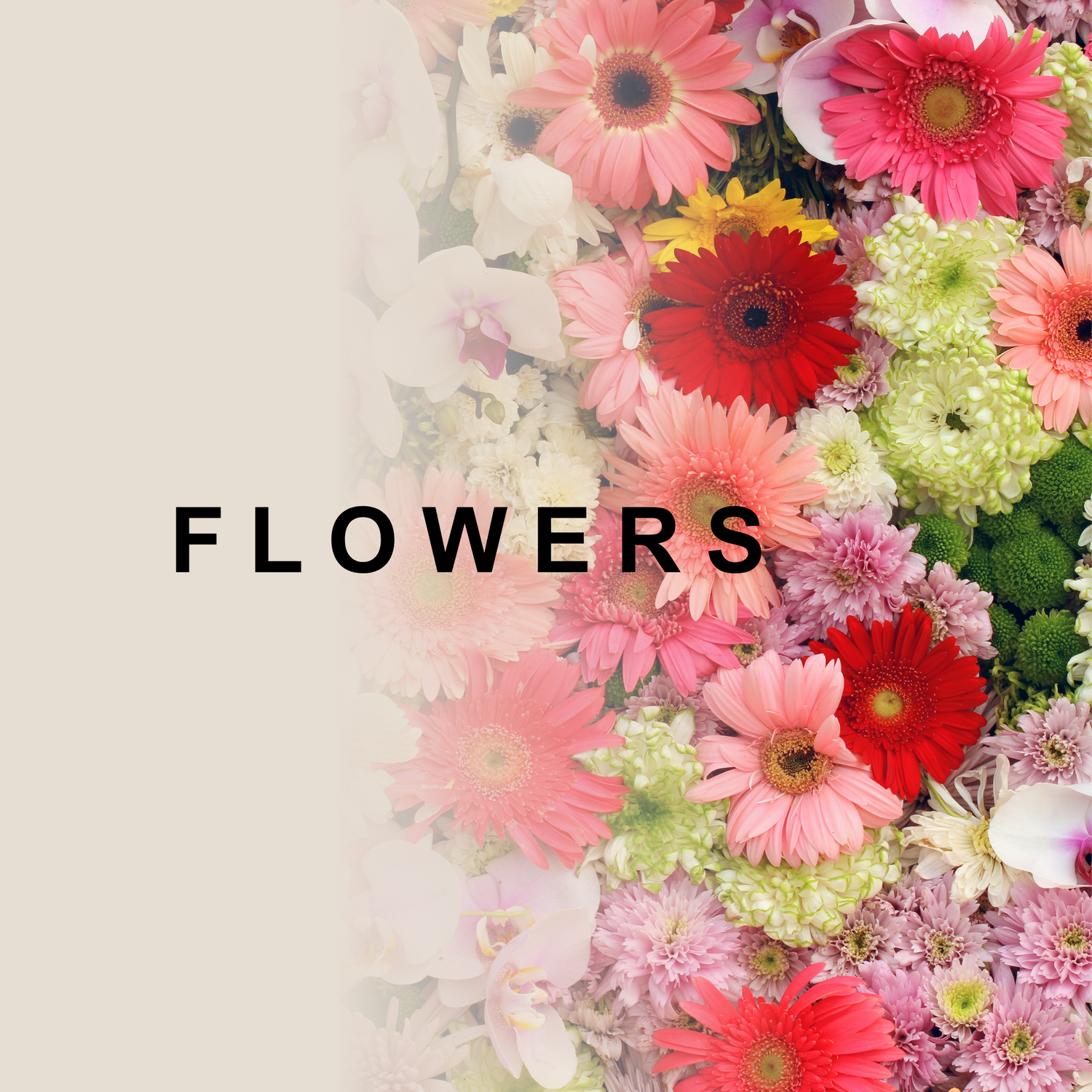 FLOWERS