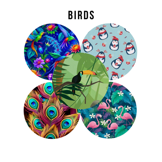 Patch pour CGM - Birds